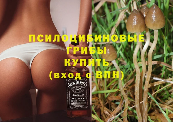 таблы Алзамай