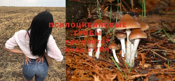 бошки Алексеевка