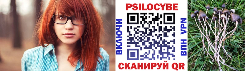 купить наркоту  сайты даркнета какой сайт  Галлюциногенные грибы Psilocybine cubensis  Харабали 